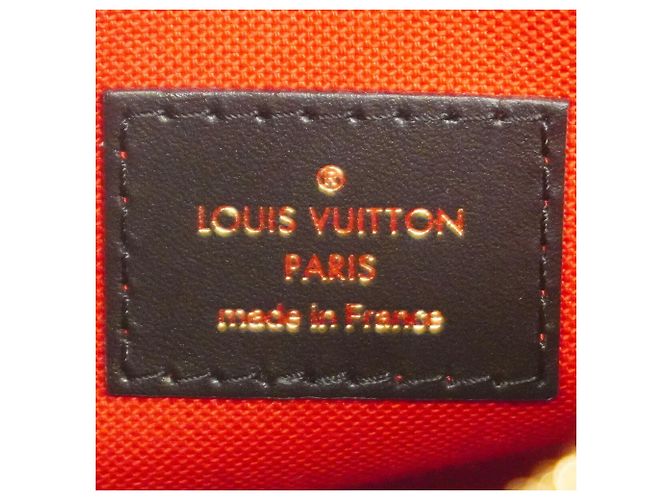 Borsa Louis Vuitton Monogram Giant Reverse OnTheGo EW Marrone - vista 5