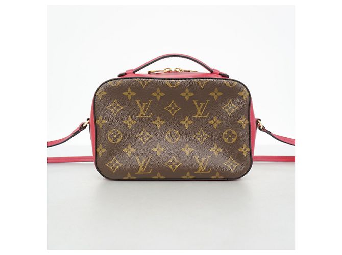 Borsa a tracolla Louis Vuitton Monogram Saint-Onge Marrone - vista 11