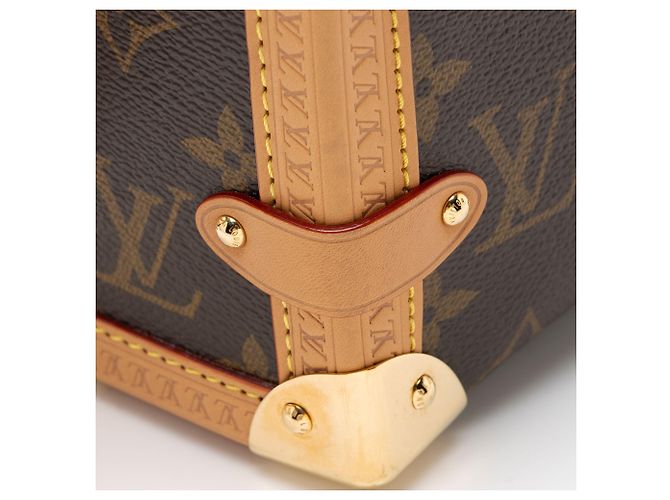 Borsa a tracolla Side Trunk MM in tela Monogram Louis Vuitton Marrone - vista 9
