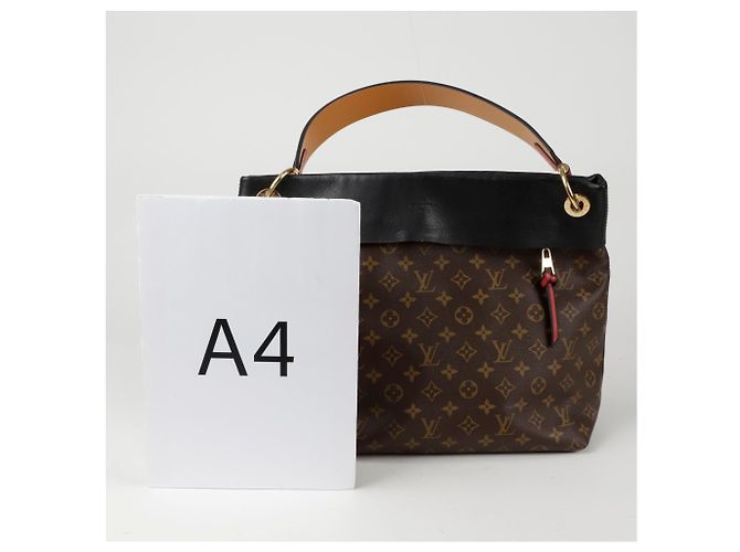 Louis Vuitton Tuileries Hobo Shoulder Bag Black - vista 7