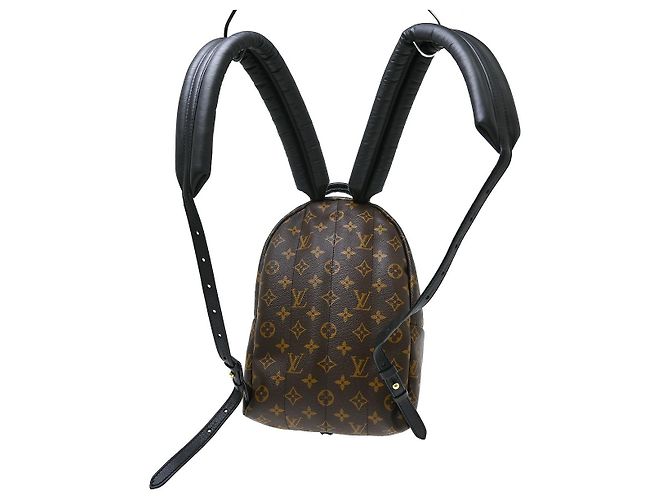 Louis Vuitton Palm Springs Monogram PM Marrone - vista 2