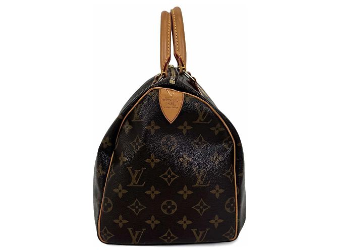 Louis Vuitton Speedy Tote Bag aus Monogram Canvas Braun - Ansicht 4