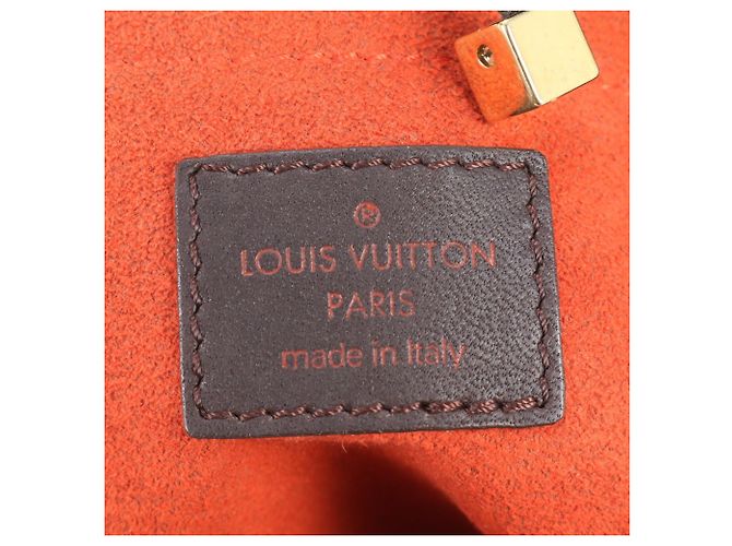 Borsa Tote Louis Vuitton Damier Sauvage Lion Marrone - vista 11