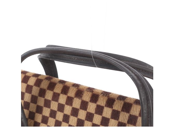 Borsa Tote Louis Vuitton Damier Sauvage Lion Marrone - vista 2