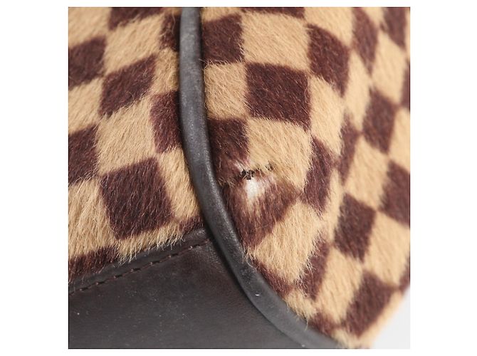 Borsa Tote Louis Vuitton Damier Sauvage Lion Marrone - vista 9