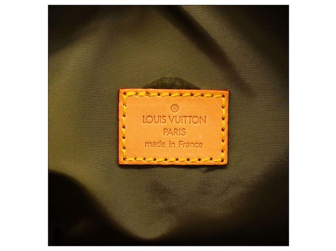 Borsa Boston Louis Vuitton in Sable - vista 5