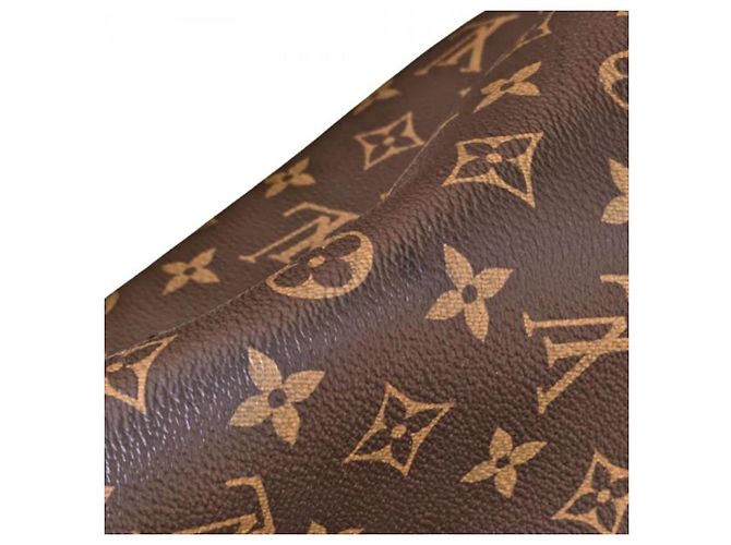 Néonoé Louis Vuitton Brown Monogram Neonoe MM - vista 9
