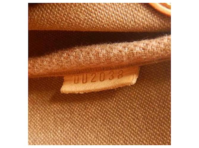 Louis Vuitton Brown Monogram Eva Marrone - vista 6