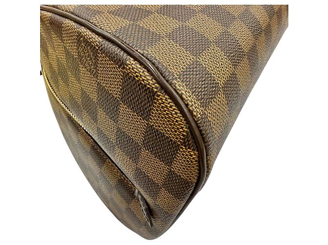 Louis Vuitton Brown Damier Ebene Ribera MM Marrone - vista 10