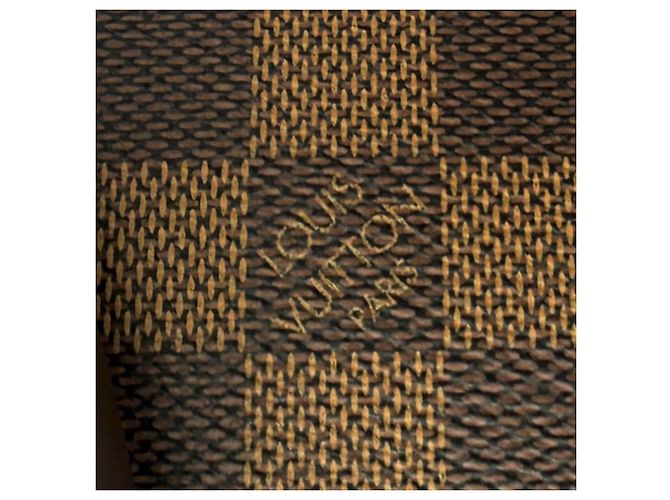 Louis Vuitton Brown Damier Ebene Ribera MM Marrone - vista 9