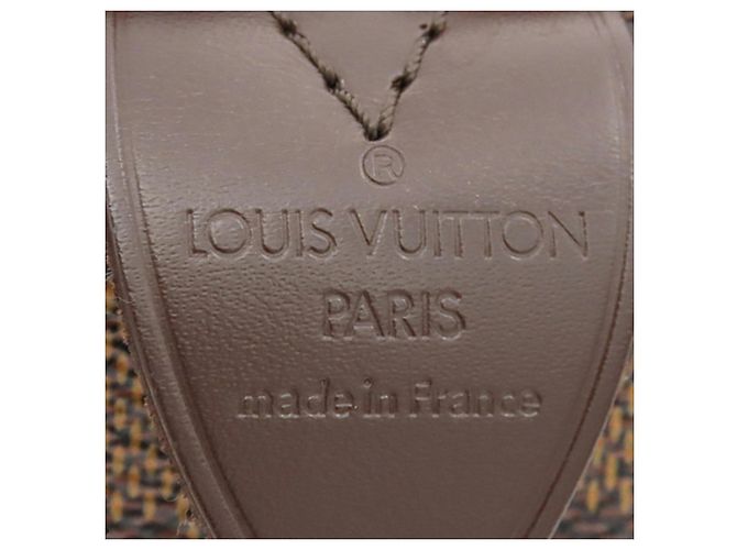 Louis Vuitton Brown Damier Ebene Speedy 25 Marrone - vista 5