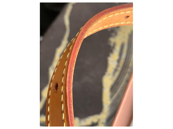 Salsa Borsa a tracolla Louis Vuitton Monogram Canvas Marrone - vista 14
