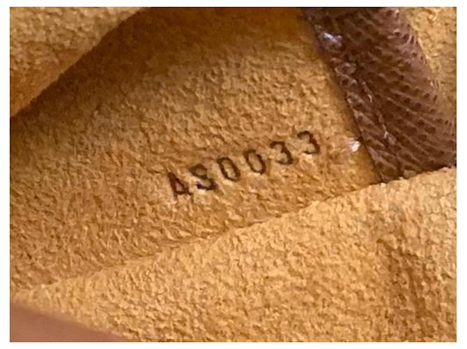 Salsa Borsa a tracolla Louis Vuitton Monogram Canvas Marrone - vista 7