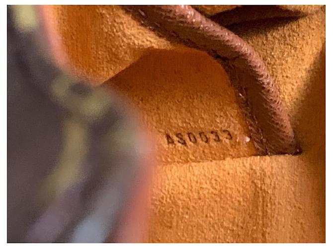 Salsa Borsa a tracolla Louis Vuitton Monogram Canvas Marrone - vista 9