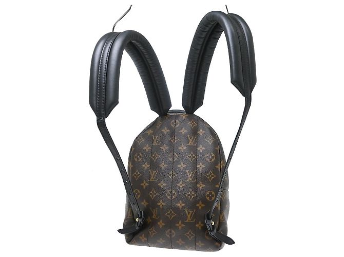Louis Vuitton Palm Springs Monogram PM Marrone - vista 2