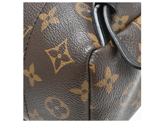 Louis Vuitton Palm Springs Monogram PM Marrone - vista 6