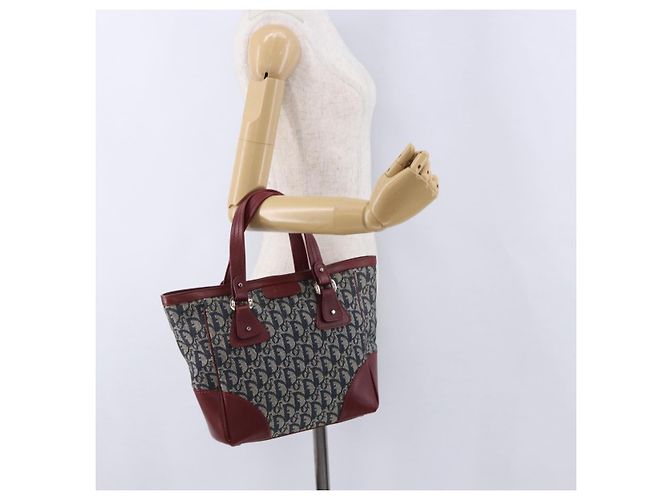 Borsa a mano Christian Dior Trotter Canvas Navy Silver Auth 196330A Argento Blu navy - vista 23