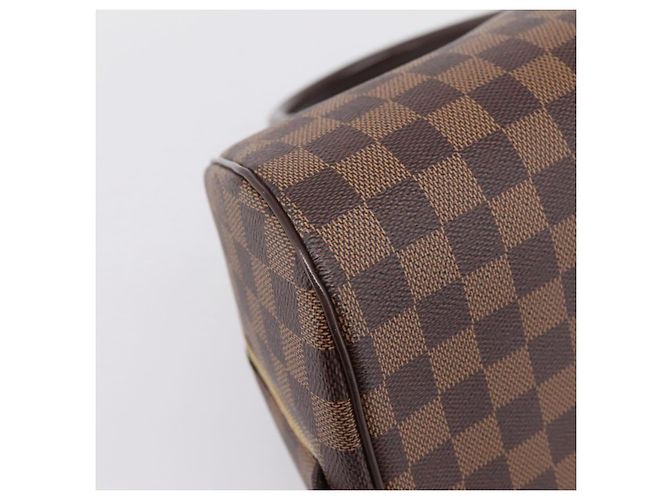 Borsa a mano LOUIS VUITTON Damier Ebene Rivera MM N41434 LV Auth 197493V - vista 14