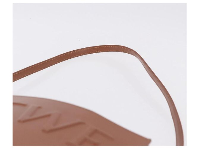 Borsa LOEWE Standard A4 in pelle 2way Brown Gold Auth 196677A Marrone D'oro - vista 15