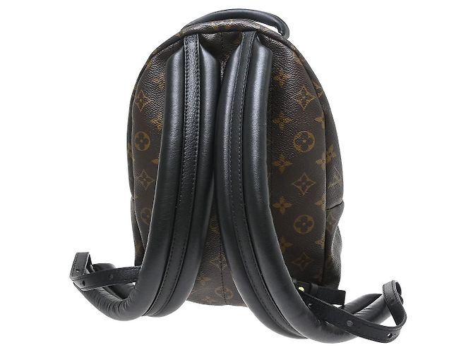 Louis Vuitton Palm Springs Monogram PM Marrone - vista 2