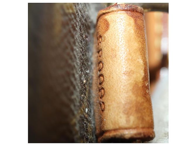 LOUIS VUITTON Monogram Pegas 55 Suitcase M23294 LV - vista 12