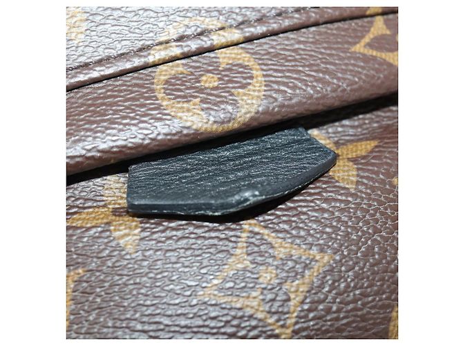 LOUIS VUITTON Monogram Palm Springs MINI Backpack M44873 LV - vista 16