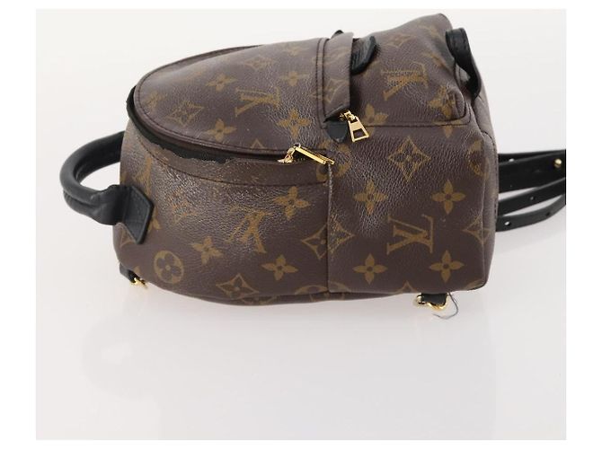 LOUIS VUITTON Monogram Palm Springs MINI Backpack M44873 LV - vista 5