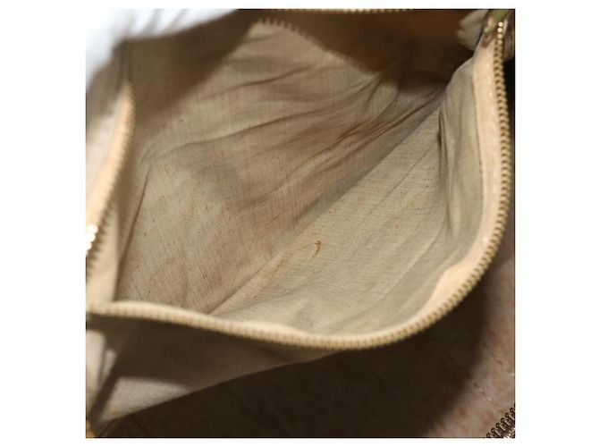 Christian Dior Trotter Canvas Hand Bag Brown Silver - vista 19