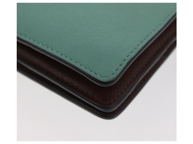 LOEWE LOEWE × Studio Ghibli Suswatari Wallet Leather Green Gold - vista 15