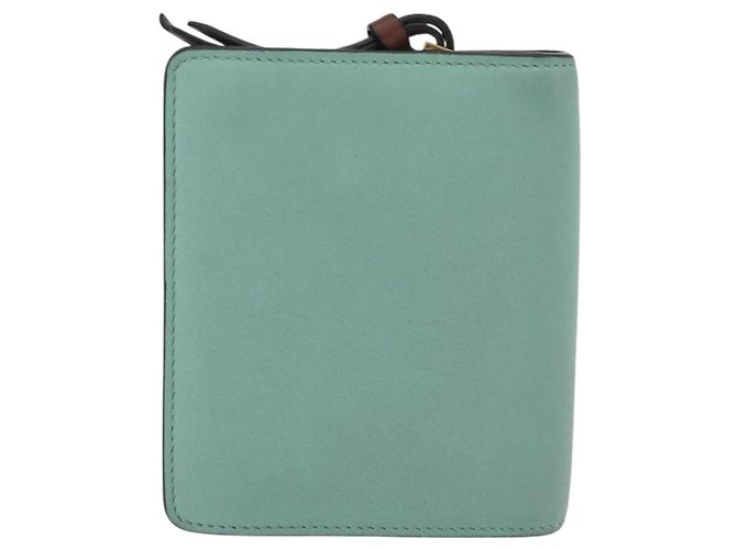 LOEWE LOEWE × Studio Ghibli Suswatari Wallet Leather Green Gold - vista 2