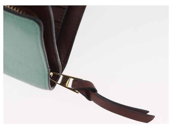 LOEWE LOEWE × Studio Ghibli Suswatari Wallet Leather Green Gold - vista 9