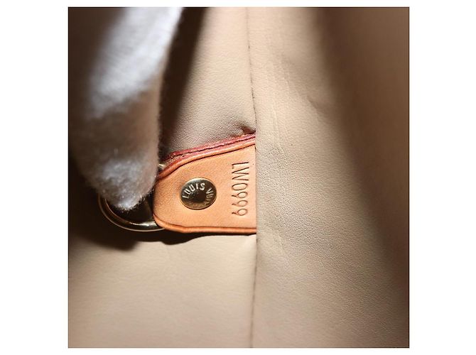 LOUIS VUITTON Monogram Vernis Houston Hand Bag Beige M91004 LV - vista 12