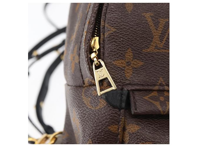 LOUIS VUITTON Monogram Palm Springs MINI Backpack M44873 LV - vista 9