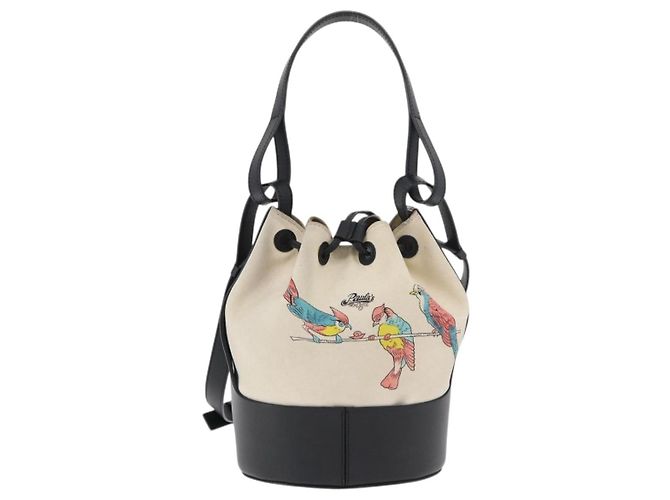 LOEWE Balloon bag Shoulder Bag Canvas Ivory Silver - vista 13