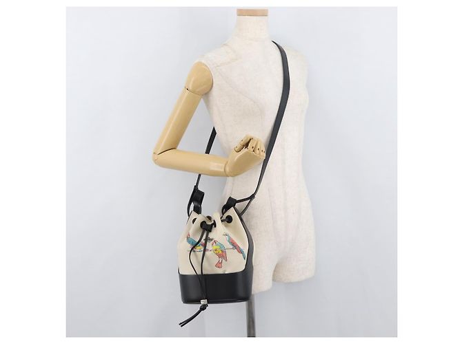 LOEWE Balloon bag Shoulder Bag Canvas Ivory Silver - vista 23