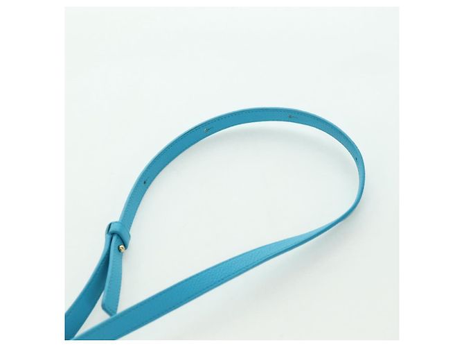 LOEWE Amazonas 23 Hand Bag Leather 2way Light Blue Gold - vista 15