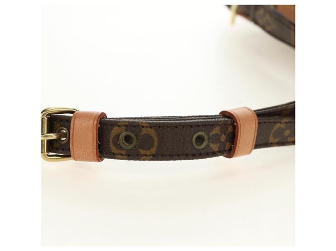 LOUIS VUITTON Monogram Amazon Shoulder Bag M45236 LV - vista 9