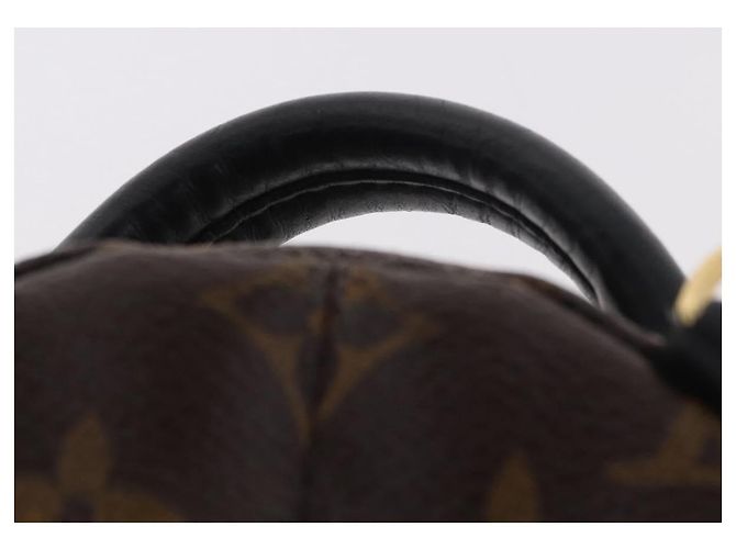 LOUIS VUITTON Monogram Palm Springs MINI Backpack M44873 LV - vista 14