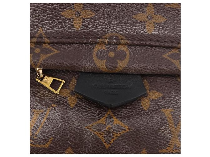 LOUIS VUITTON Monogram Palm Springs MINI Backpack M44873 LV - vista 21