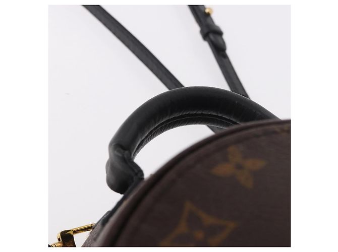 LOUIS VUITTON Monogram Palm Springs MINI Backpack M44873 LV - vista 14