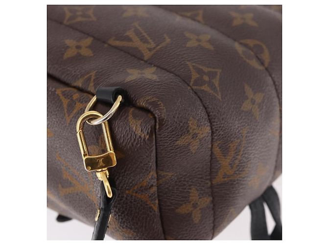 LOUIS VUITTON Monogram Palm Springs MINI Backpack M44873 LV - vista 18