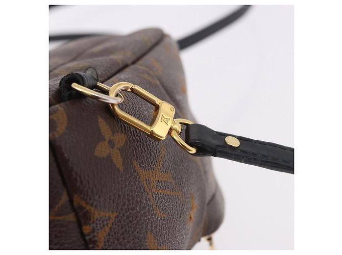 LOUIS VUITTON Monogram Palm Springs MINI Backpack M44873 LV - vista 20