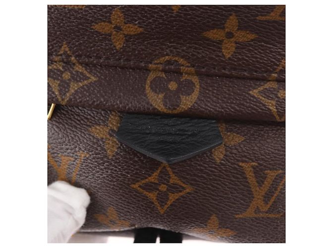 LOUIS VUITTON Monogram Palm Springs MINI Backpack M44873 LV - vista 21