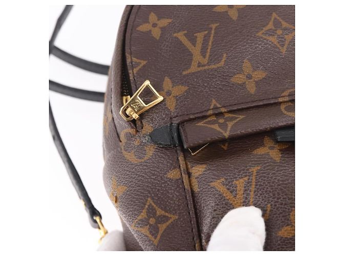 LOUIS VUITTON Monogram Palm Springs MINI Backpack M44873 LV - vista 22