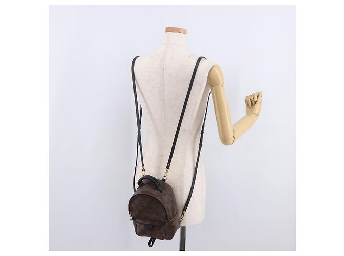 LOUIS VUITTON Monogram Palm Springs MINI Backpack M44873 LV - vista 28