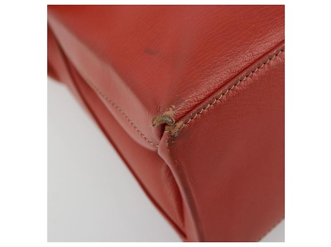 LOEWE Velazquez Hand Bag Leather Red Gold - vista 14