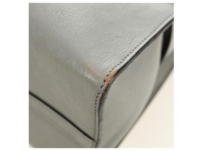 Miu Miu Hand Bag Leather Gray Gold - vista 14