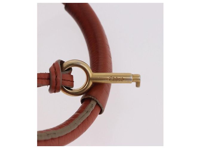 Chloé Chloe Paddington Hand Bag Leather Pink Gold Silver - vista 18