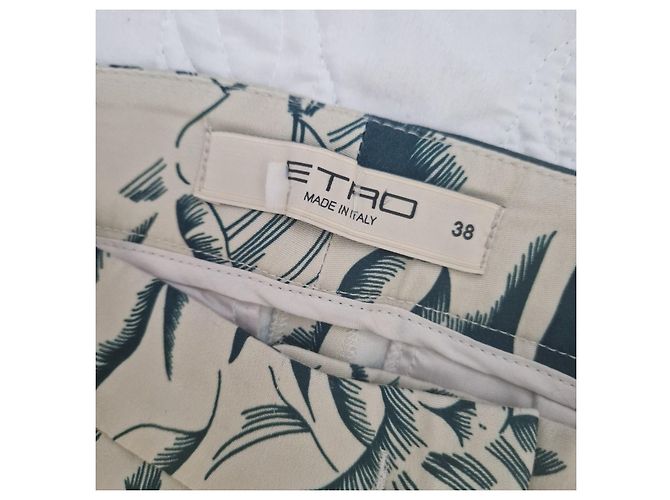 Pantalones Etro Estampado Floral Beige Amarillo Verde oscuro - vista 2
