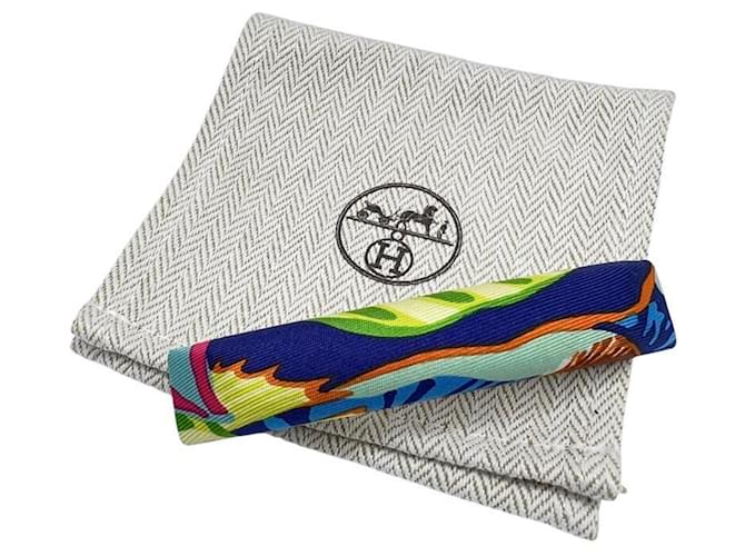 Hermès Pasador Hermes Eclipse Multicolor - vista 10